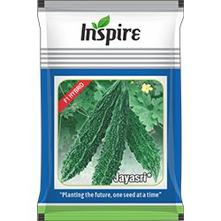 Bitter Gourd Seeds – Jayasri* | Inspire Crop Sciences Private Limited