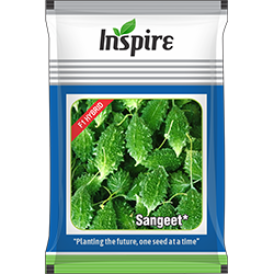 Bitter Gourd Seeds – Sangeet* | Inspire Crop Sciences Private Limited